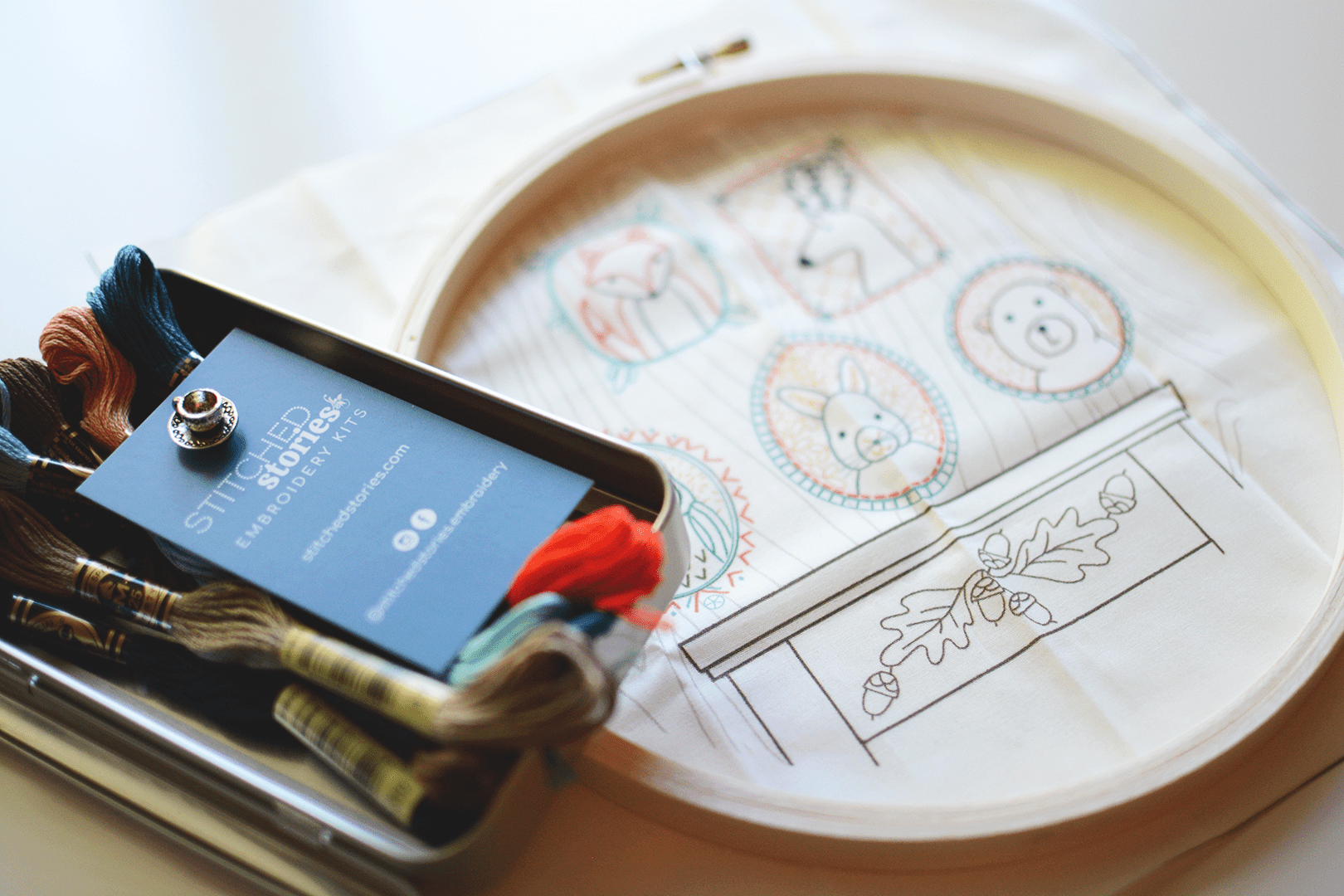 Rogues' Gallery Embroidery Kit - Stitched Stories